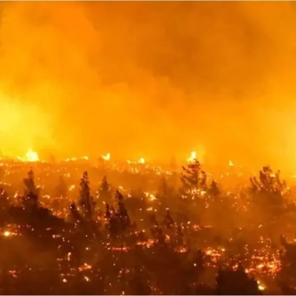 ¡Botón Rojo en Chile! Herramienta tecnológica elaborada por CONAF para prevenir los incendios forestales de magnitud